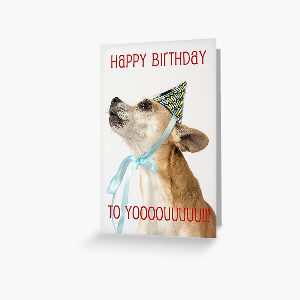 Retro Animal Humour Greetings Card Occasion Novelty Gift Funny Birthday Dog Pets 