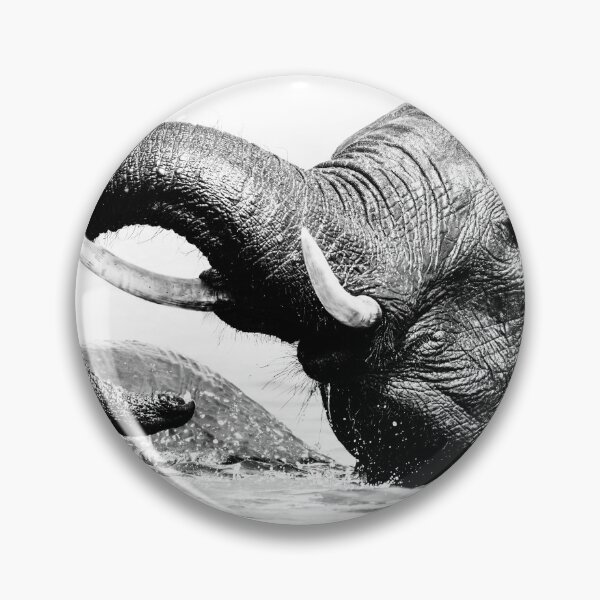 Item preview, Elephant Chobe National Park Botswana designed and sold by PhotoArt by Joan Carroll.