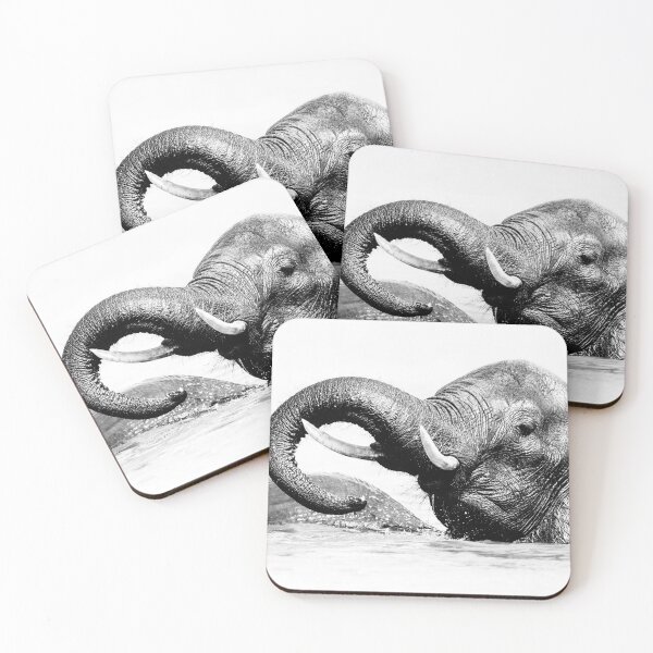 Item preview, Elephant Chobe National Park Botswana designed and sold by PhotoArt by Joan Carroll.