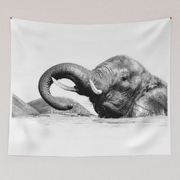 Item preview, Elephant Chobe National Park Botswana designed and sold by PhotoArt by Joan Carroll.