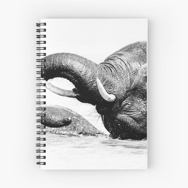 Item preview, Elephant Chobe National Park Botswana designed and sold by PhotoArt by Joan Carroll.