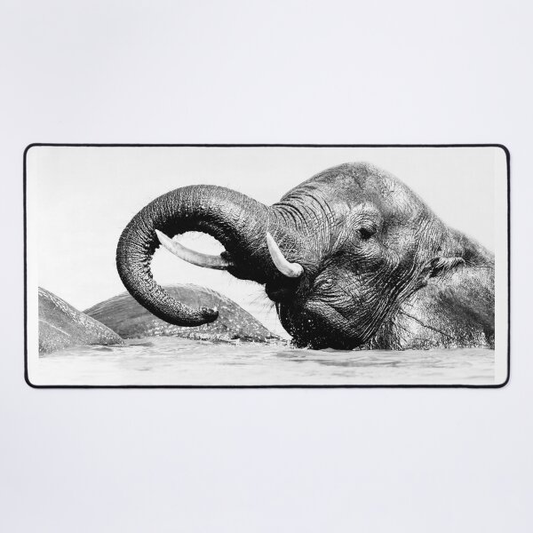 Item preview, Elephant Chobe National Park Botswana designed and sold by PhotoArt by Joan Carroll.