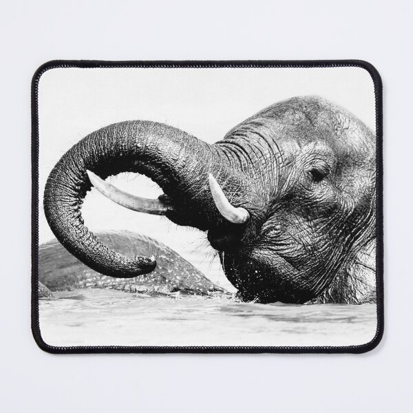 Item preview, Elephant Chobe National Park Botswana designed and sold by PhotoArt by Joan Carroll.