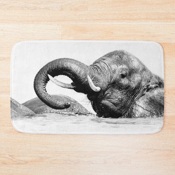 Item preview, Elephant Chobe National Park Botswana designed and sold by PhotoArt by Joan Carroll.