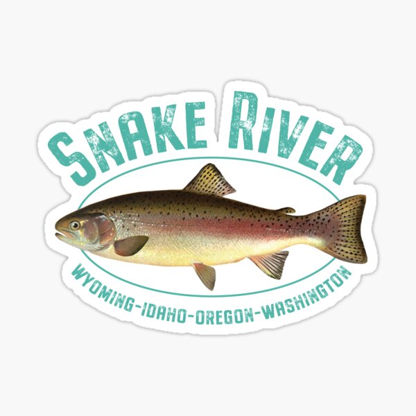 Vista previa del artículo con la obra «Diseño de pesca de trucha de río Snake», diseñado y vendido por Futurebeachbum.