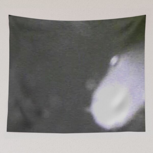 Item preview, Ghostly Underwater Curious Fish Face designed and sold by CJRPics.