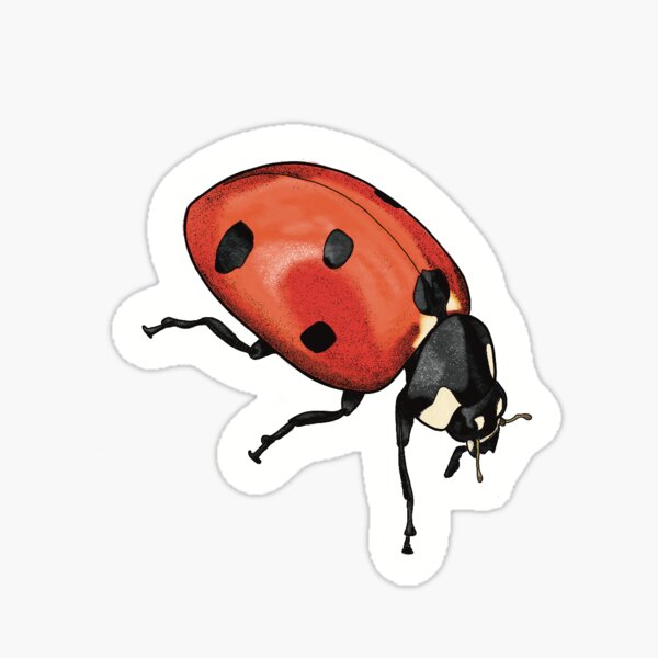 Item preview, Lady Bug designed and sold by Studio825.