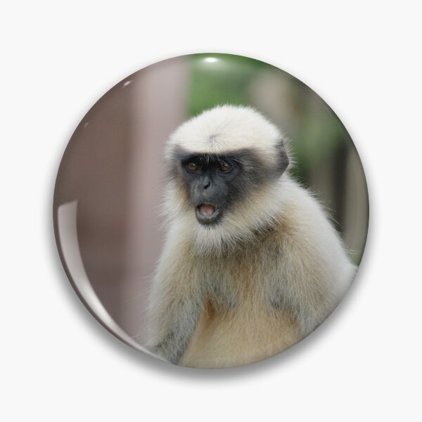 Item preview, Gray Langur in Badami Fort designed and sold by VgBingi.