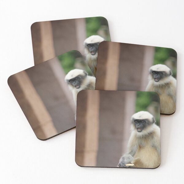Item preview, Gray Langur in Badami Fort designed and sold by VgBingi.