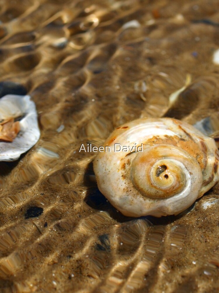 Thumbnail 5 of 5, iPhone Case, Shell Beach #2 designed and sold by AileenDavid.
