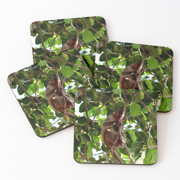 Item preview, Bonnet Macaque Monkey Baby designed and sold by VgBingi.
