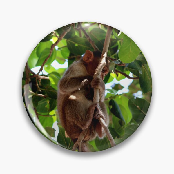 Item preview, Bonnet Macaque Monkey Baby designed and sold by VgBingi.