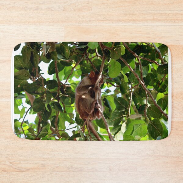 Item preview, Bonnet Macaque Monkey Baby designed and sold by VgBingi.
