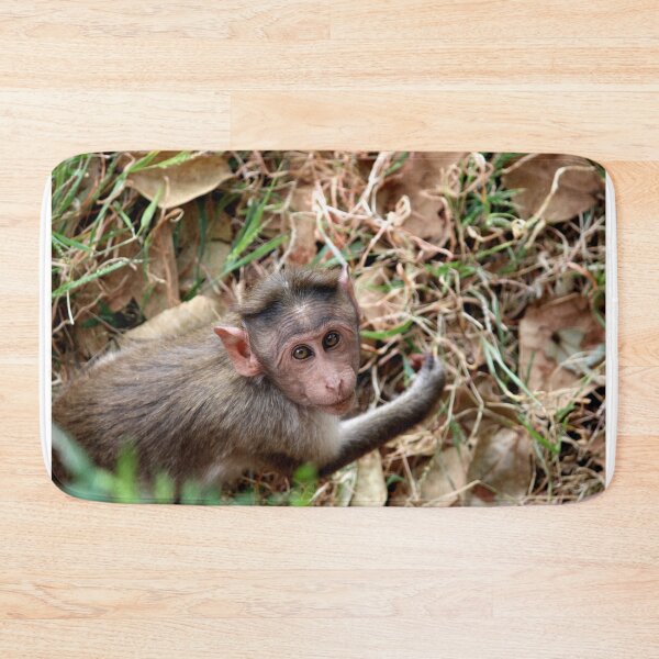 Item preview, Bonnet Macaque Monkey in Badami Fort designed and sold by VgBingi.