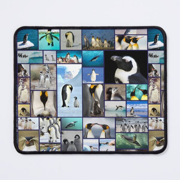 Item preview, Penguin Pattern Photo Collage designed and sold by sweetbelle.