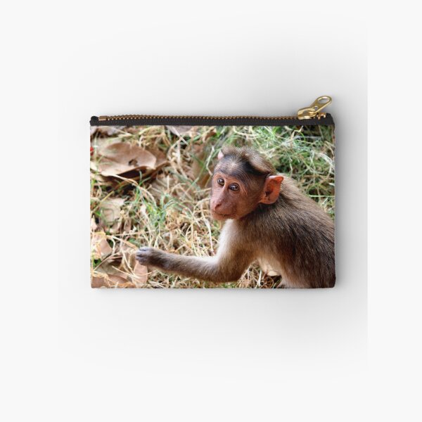 Item preview, Bonnet Macaque Monkey in Badami Fort designed and sold by VgBingi.