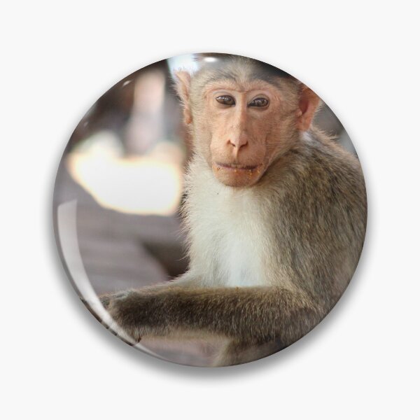 Item preview, Bonnet Macaque Monkey in Badami Fort designed and sold by VgBingi.