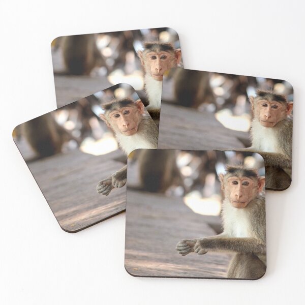 Item preview, Bonnet Macaque Monkey in Badami Fort designed and sold by VgBingi.