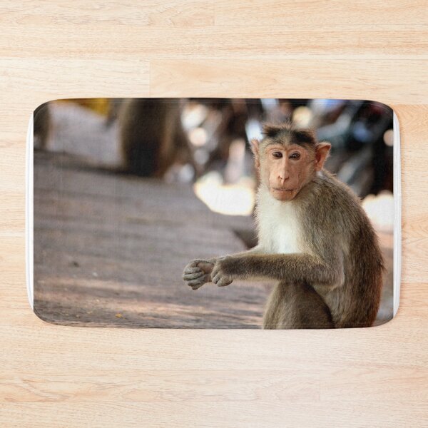 Item preview, Bonnet Macaque Monkey in Badami Fort designed and sold by VgBingi.