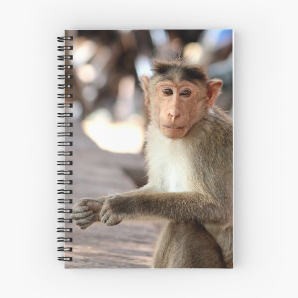 Item preview, Bonnet Macaque Monkey in Badami Fort designed and sold by VgBingi.