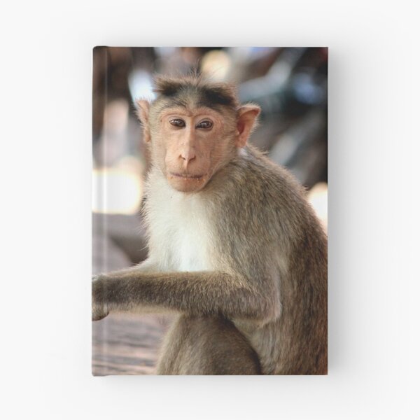 Item preview, Bonnet Macaque Monkey in Badami Fort designed and sold by VgBingi.