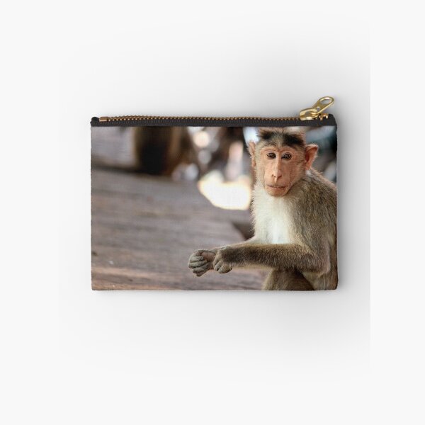 Item preview, Bonnet Macaque Monkey in Badami Fort designed and sold by VgBingi.