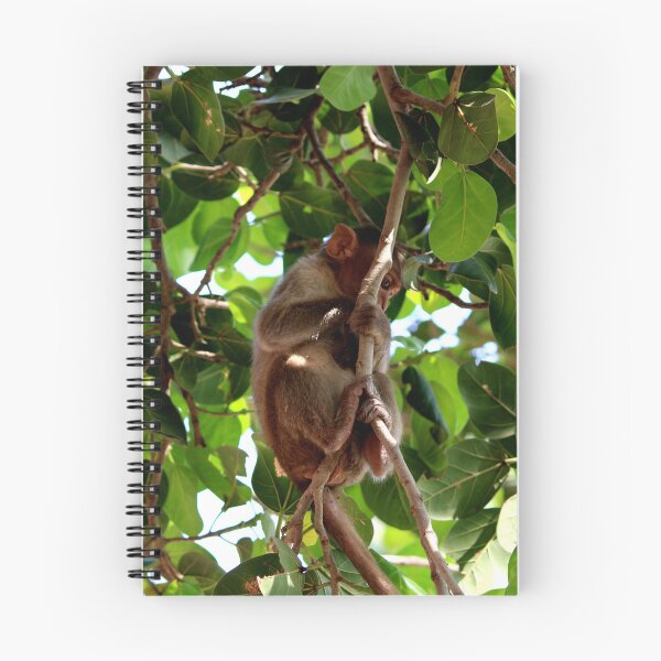 Item preview, Bonnet Macaque Monkey Baby designed and sold by VgBingi.