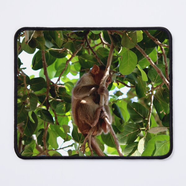 Item preview, Bonnet Macaque Monkey Baby designed and sold by VgBingi.