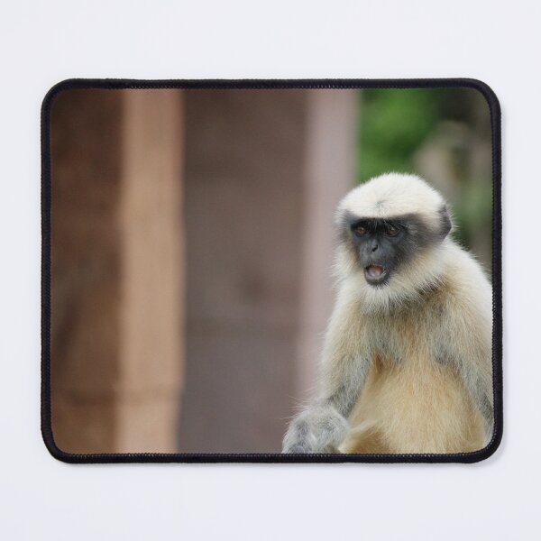 Item preview, Gray Langur in Badami Fort designed and sold by VgBingi.
