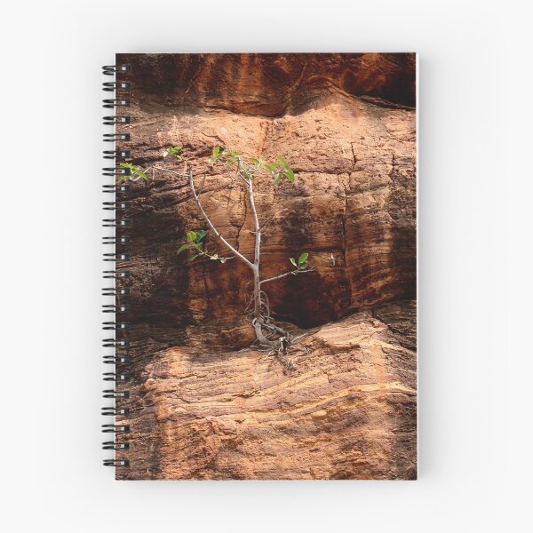 Item preview, A Banyan Tree Growing on a Rocky Hill. designed and sold by VgBingi.
