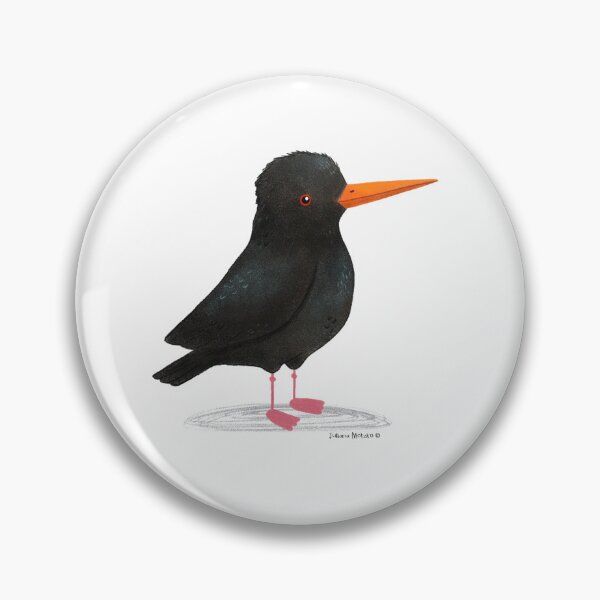 Item preview, African Oystercatcher Bird designed and sold by julianamotzko.