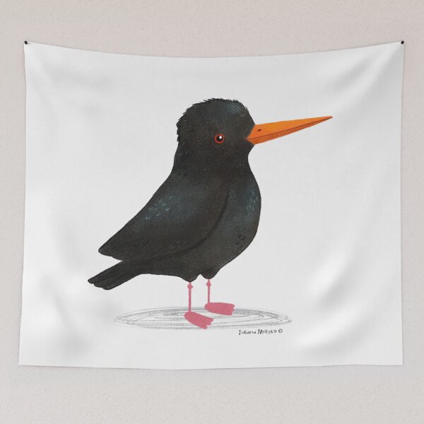 Item preview, African Oystercatcher Bird designed and sold by julianamotzko.