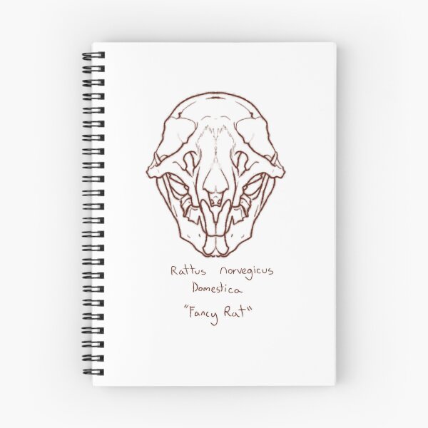 Item preview, Domestic Rat Skull designed and sold by GrilledRetro.