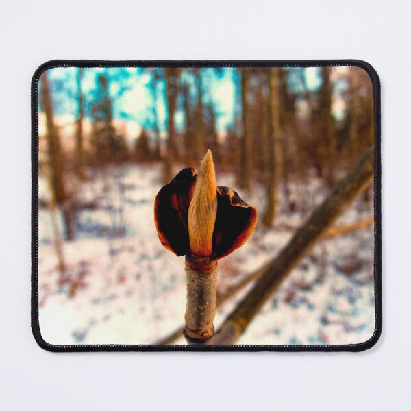 Item preview, Early Spring designed and sold by boogeyman.
