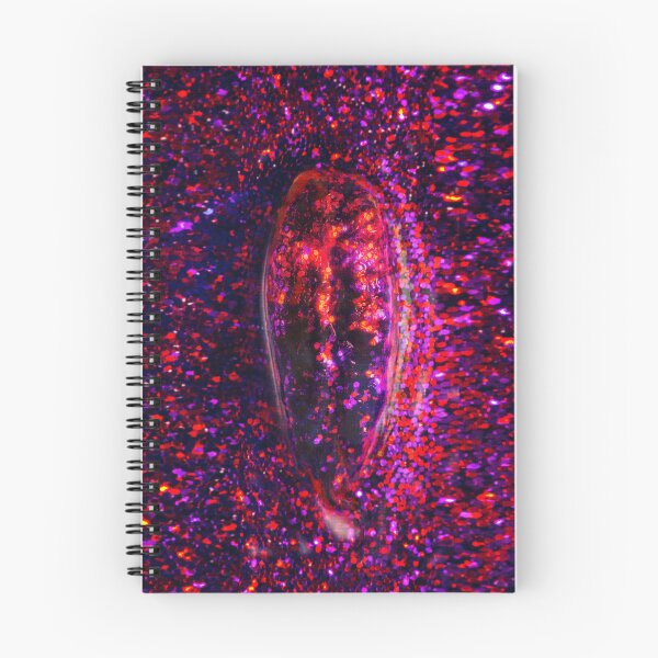 Item preview, magenta date seed designed and sold by Claudio Pepper.
