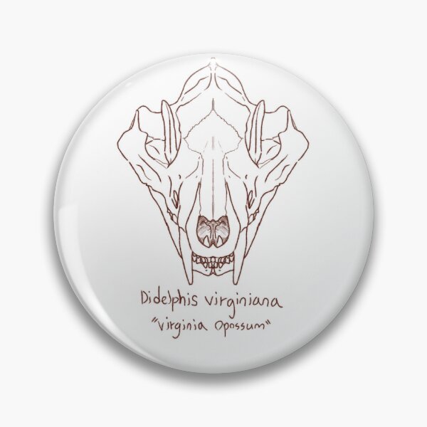 Item preview, Virginia Opossum Skull designed and sold by GrilledRetro.
