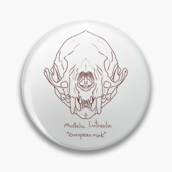 Item preview, European Mink Skull designed and sold by GrilledRetro.