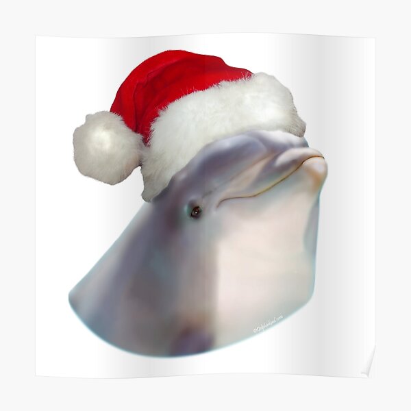 Christmas Santa Dolphin Poster