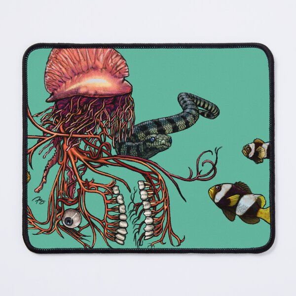 Item preview, Cranial Nerves & Neurotoxins in the Pacific designed and sold by FreyStrandDraws.