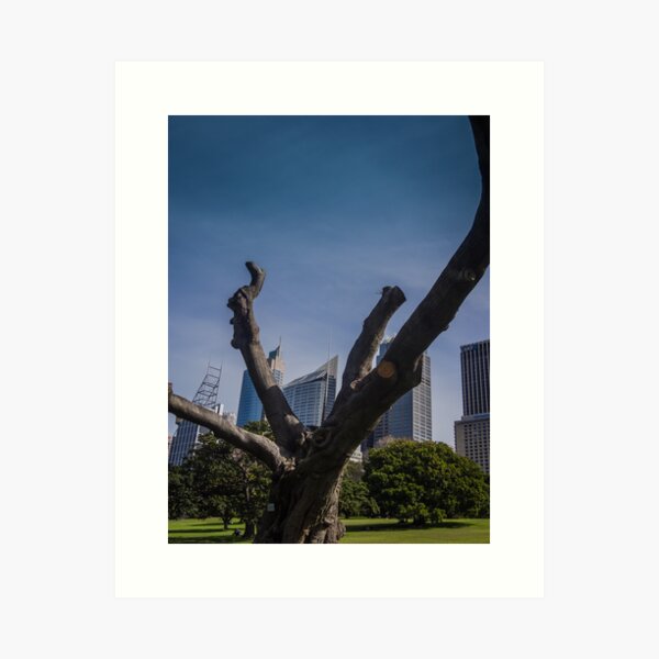 Item preview, Bare Tree In The City designed and sold by Michael McGimpsey.