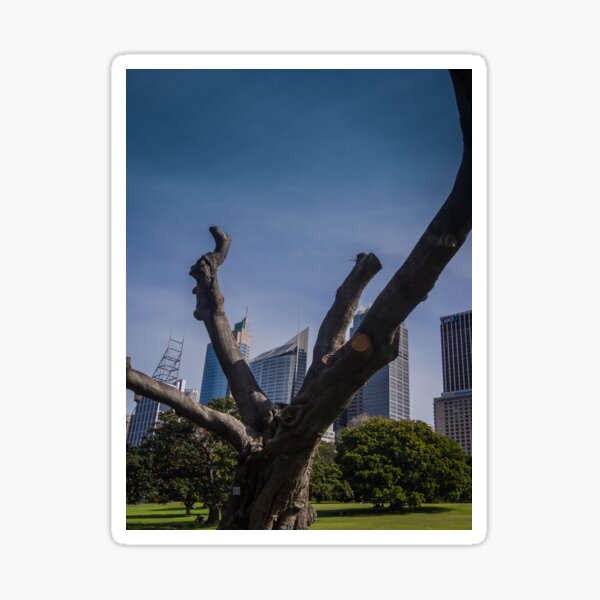Item preview, Bare Tree In The City designed and sold by Michael McGimpsey.