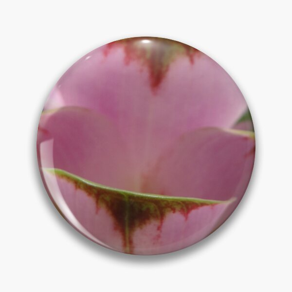 Item preview, Siam tulip is flowering plant, Curcuma sp. of the ginger family no. 61 designed and sold by greengoodnich.
