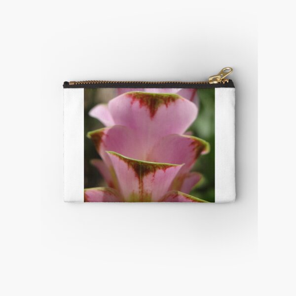 Artikelvorschau, Siam-Tulpe ist eine blühende Pflanze, Curcuma sp. der Ingwergewächse Nr. 61 entworfen und verkauft von greengoodnich.
