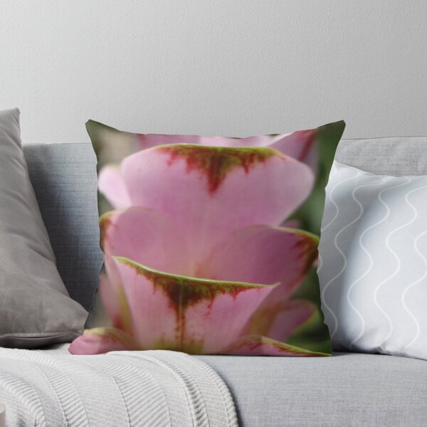 Item preview, Siam tulip is flowering plant, Curcuma sp. of the ginger family no. 61 designed and sold by greengoodnich.