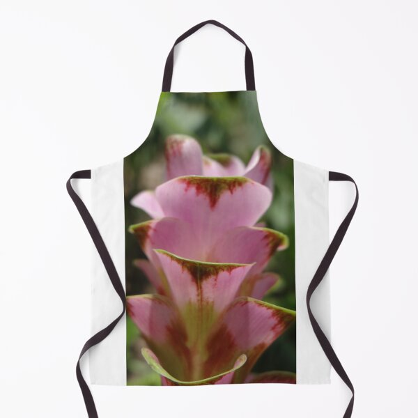 Item preview, Siam tulip is flowering plant, Curcuma sp. of the ginger family no. 61 designed and sold by greengoodnich.