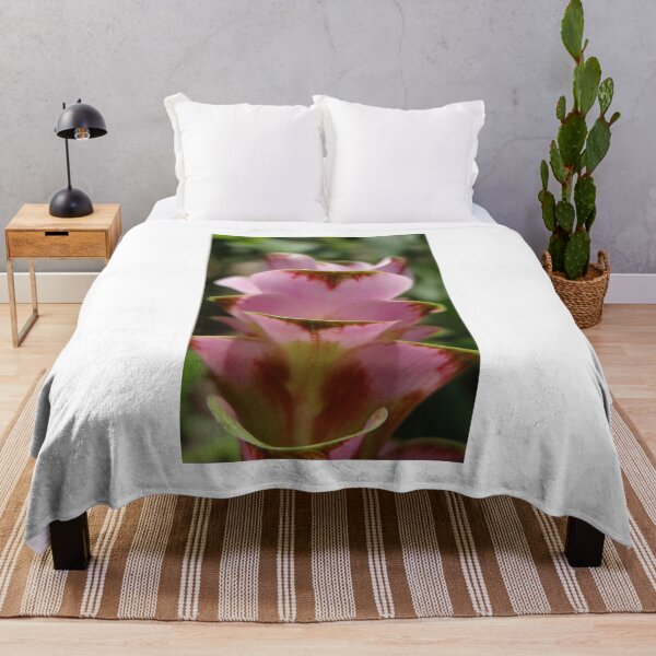 Item preview, Siam tulip is flowering plant, Curcuma sp. of the ginger family no. 61 designed and sold by greengoodnich.