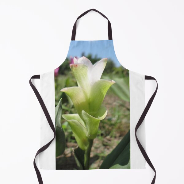 Item preview, Siam tulip is flowering plant, Curcuma sp. of the ginger family no. 62 designed and sold by greengoodnich.