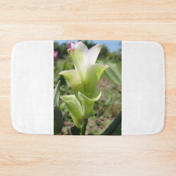 Item preview, Siam tulip is flowering plant, Curcuma sp. of the ginger family no. 62 designed and sold by greengoodnich.