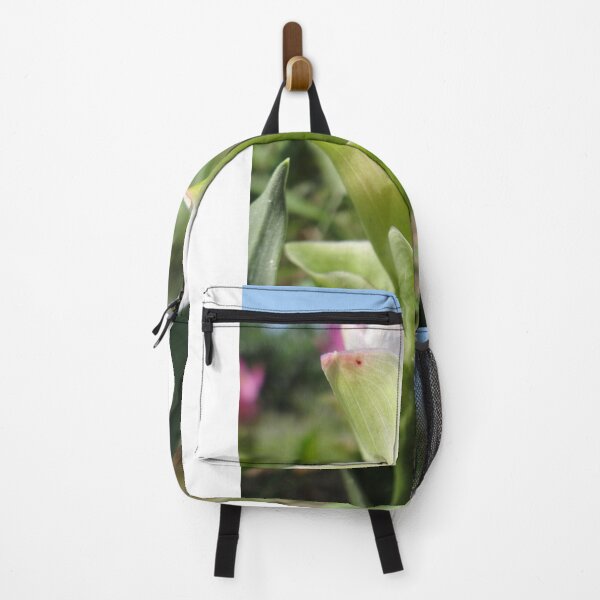 Item preview, Siam tulip is flowering plant, Curcuma sp. of the ginger family no. 62 designed and sold by greengoodnich.