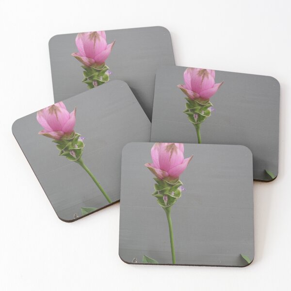 Item preview, Siam tulip is flowering plant, Curcuma sp. of the ginger family no. 63 designed and sold by greengoodnich.